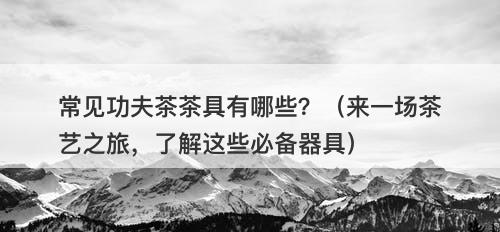 常见功夫茶茶具有哪些?(来一场茶艺之旅,了解这些必备器具)-图1 常见功夫茶茶具有哪些?(来一场茶艺之旅,了解这些必备器具)-图1