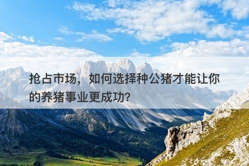 抢占市场，如何选择种公猪才能让你的养猪事业更成功？