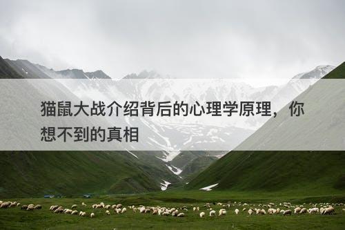 猫鼠大战介绍背后的心理学原理，你想不到的真相