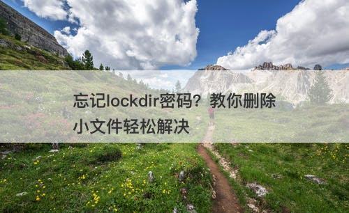 忘记lockdir密码？教你删除小文件轻松解决