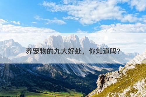 养宠物的九大好处，你知道吗？-图1