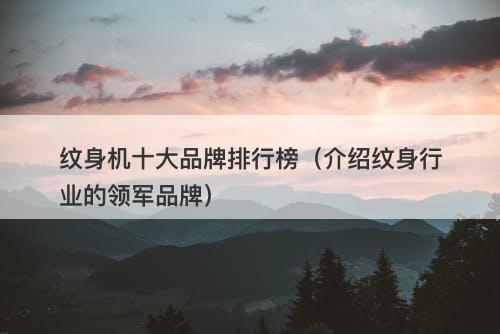 纹身机十大品牌排行榜（介绍纹身行业的领军品牌）-图1