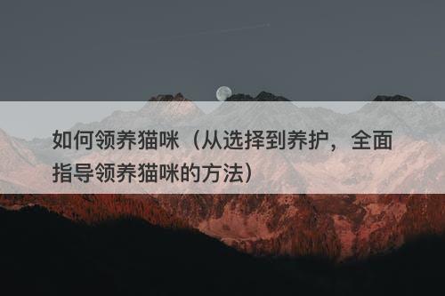 如何领养猫咪(从选择到养护,全面指导领养猫咪的方法)-图1 如何领养猫咪(从选择到养护,全面指导领养猫咪的方法)-图1