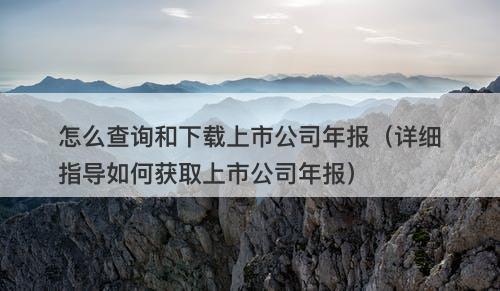 怎么查询和下载上市公司年报（详细指导如何获取上市公司年报）
