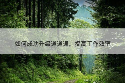 如何成功升级道道通，提高工作效率
