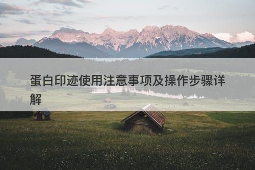 蛋白印迹使用注意事项及操作步骤详解