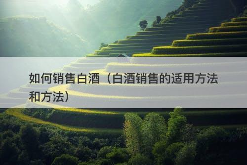 如何销售白酒(白酒销售的适用方法和方法)-图1 如何销售白酒(白酒销售的适用方法和方法)-图1