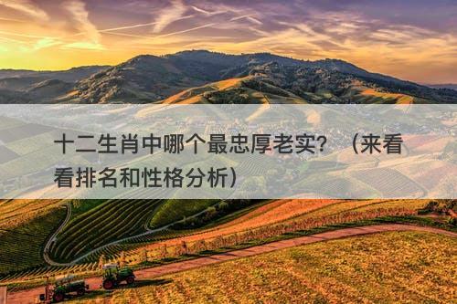 十二生肖中哪个最忠厚老实？（来看看排名和性格分析）