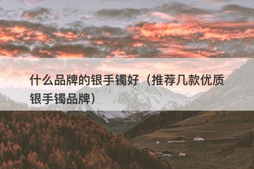 什么品牌的银手镯好（推荐几款优质银手镯品牌）