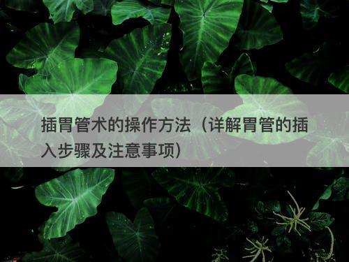 插胃管术的操作方法（详解胃管的插入步骤及注意事项）