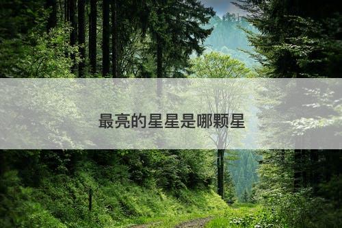 最亮的星星是哪颗星