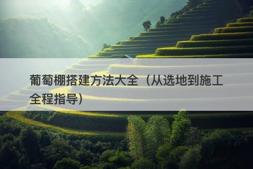 葡萄棚搭建方法大全（从选地到施工全程指导）