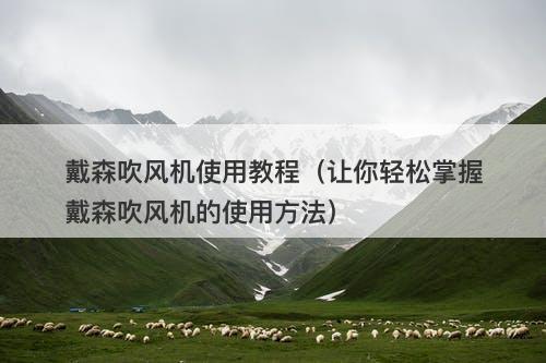 戴森吹风机使用教程（让你轻松掌握戴森吹风机的使用方法）