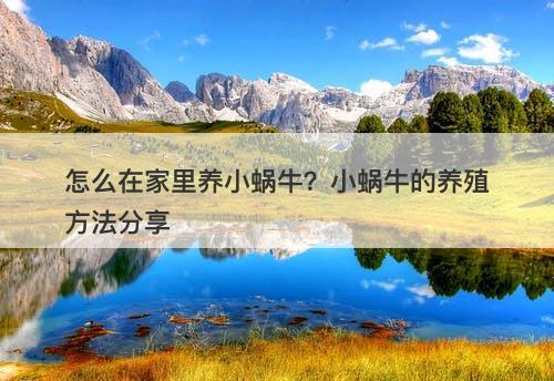 怎么在家里养小蜗牛？小蜗牛的养殖方法分享