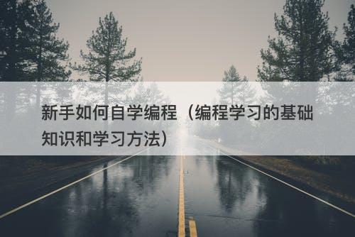 新手如何自学编程(编程学习的基础知识和学习方法)-图1 新手如何自学编程(编程学习的基础知识和学习方法)-图1