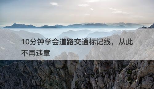 10分钟学会道路交通标记线，从此不再违章