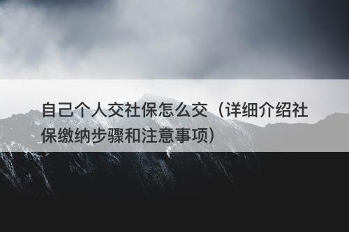 自己个人交社保怎么交（详细介绍社保缴纳步骤和注意事项）-图1