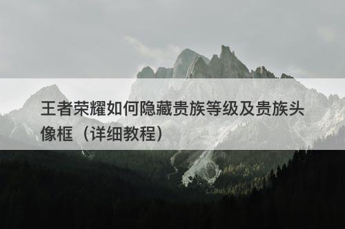 王者荣耀如何隐藏贵族等级及贵族头像框(详细教程)-图1 王者荣耀如何隐藏贵族等级及贵族头像框(详细教程)-图1