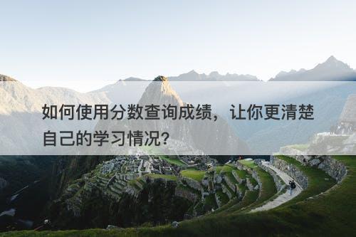 如何使用分数查询成绩，让你更清楚自己的学习情况？