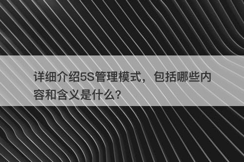 详细介绍5S管理模式，包括哪些内容和含义是什么？
