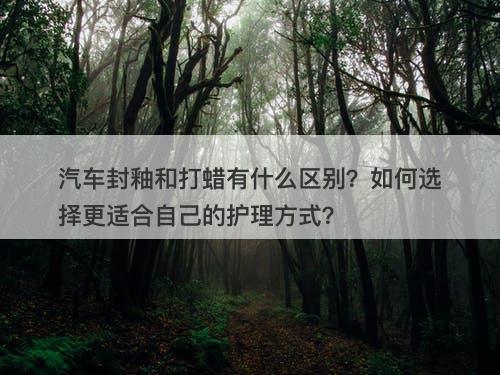 汽车封釉和打蜡有什么区别？如何选择更适合自己的护理方式？-图1