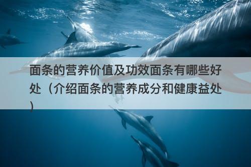 面条的营养价值及功效面条有哪些好处（介绍面条的营养成分和健康益处）-图1