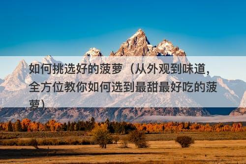 如何挑选好的菠萝（从外观到味道，全方位教你如何选到最甜最好吃的菠萝）