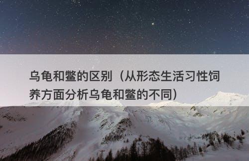 乌龟和鳖的区别（从形态生活习性饲养方面分析乌龟和鳖的不同）-图1