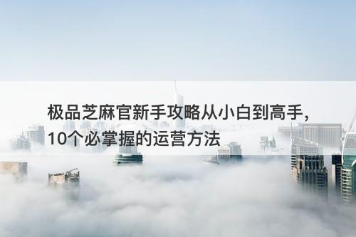 极品芝麻官新手攻略从小白到高手，10个必掌握的运营方法