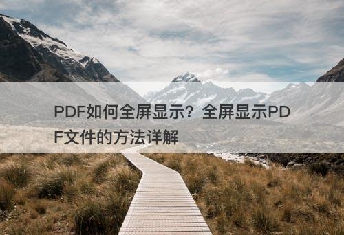 PDF如何全屏显示？全屏显示PDF文件的方法详解
