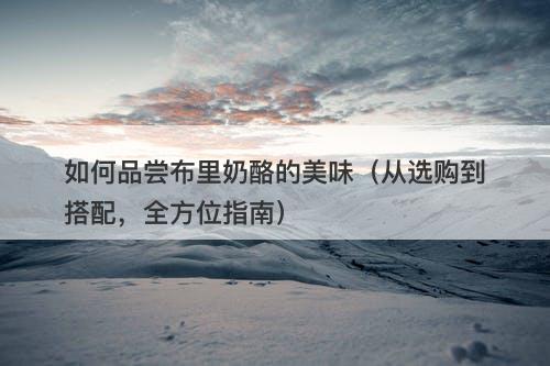 如何品尝布里奶酪的美味（从选购到搭配，全方位指南）