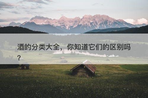 酒的分类大全，你知道它们的区别吗？