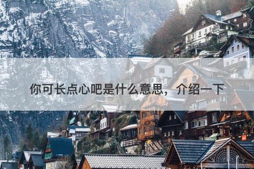 你可长点心吧是什么意思，介绍一下