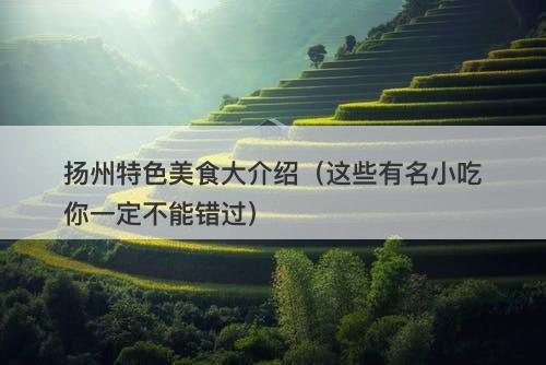 扬州特色美食大介绍(这些有名小吃你一定不能错过)-图1 扬州特色美食大介绍(这些有名小吃你一定不能错过)-图1