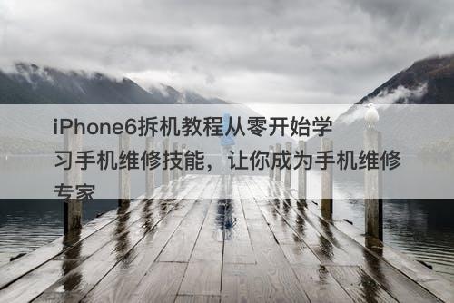 iPhone6拆机教程从零开始学习手机维修技能，让你成为手机维修专家