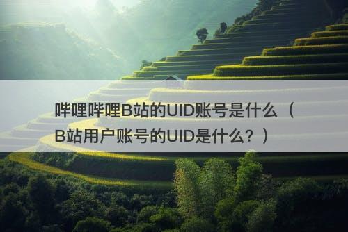哔哩哔哩B站的UID账号是什么（B站用户账号的UID是什么？）