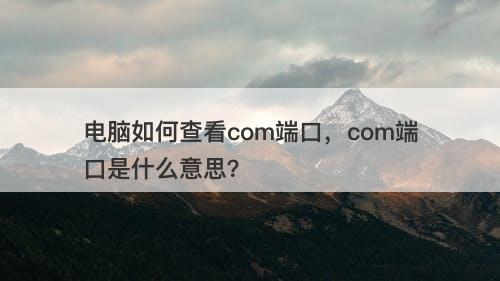电脑如何查看com端口，com端口是什么意思？