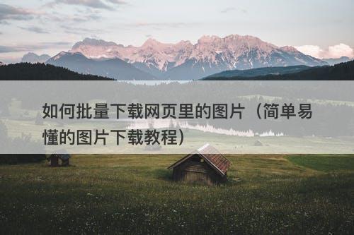 如何批量下载网页里的图片（简单易懂的图片下载教程）
