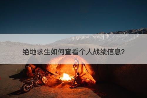 绝地求生如何查看个人战绩信息？