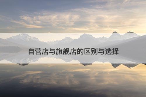 自营店与旗舰店的区别与选择-图1