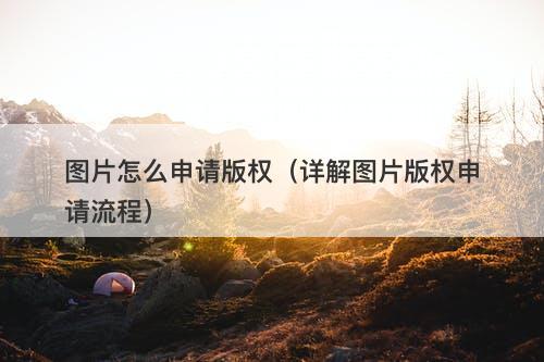 图片怎么申请版权（详解图片版权申请流程）