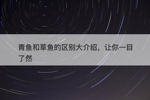 青鱼和草鱼的区别大介绍，让你一目了然