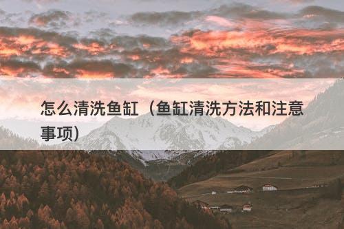怎么清洗鱼缸（鱼缸清洗方法和注意事项）