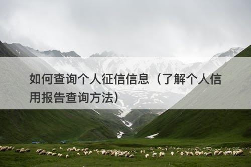 如何查询个人征信信息（了解个人信用报告查询方法）