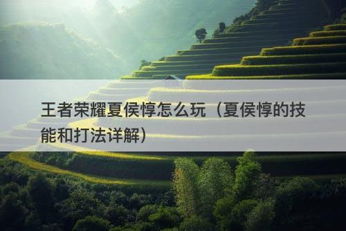 王者荣耀夏侯惇怎么玩（夏侯惇的技能和打法详解）