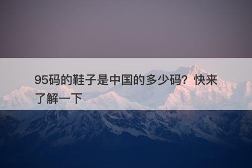 95码的鞋子是中国的多少码？快来了解一下-图1