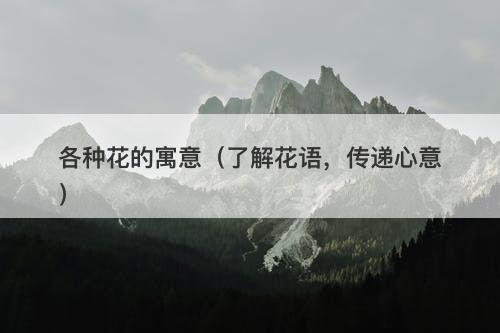 各种花的寓意（了解花语，传递心意）