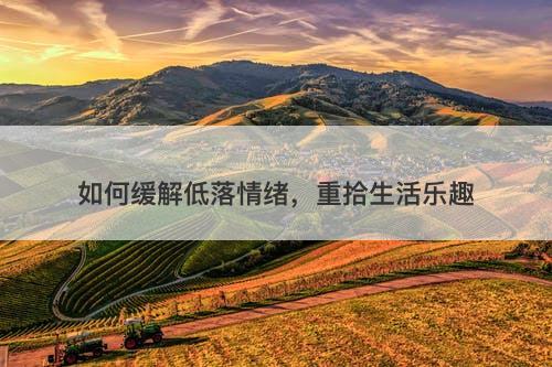 如何缓解低落情绪，重拾生活乐趣-图1