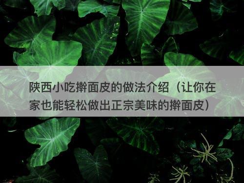 陕西小吃擀面皮的做法介绍（让你在家也能轻松做出正宗美味的擀面皮）