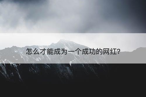 怎么才能成为一个成功的网红？